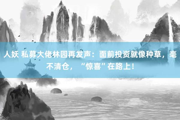 人妖 私募大佬林园再发声：面前投资就像种草，毫不清仓， “惊喜”在路上！