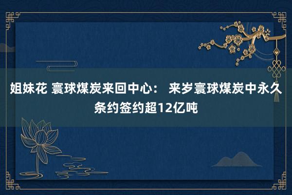 姐妹花 寰球煤炭来回中心： 来岁寰球煤炭中永久条约签约超12亿吨