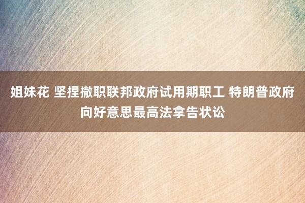 姐妹花 坚捏撤职联邦政府试用期职工 特朗普政府向好意思最高法拿告状讼