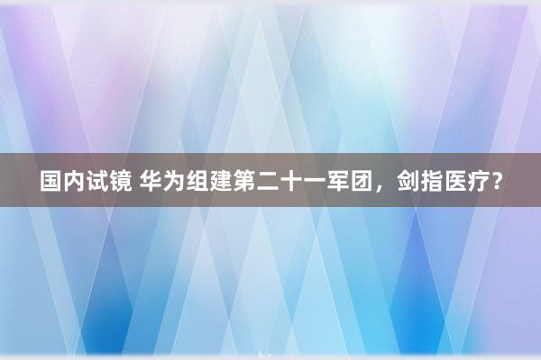 国内试镜 华为组建第二十一军团，剑指医疗？