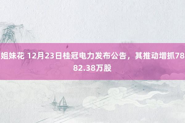 姐妹花 12月23日桂冠电力发布公告，其推动增抓7882.38万股