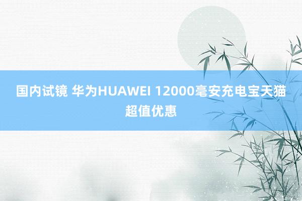 国内试镜 华为HUAWEI 12000毫安充电宝天猫超值优惠