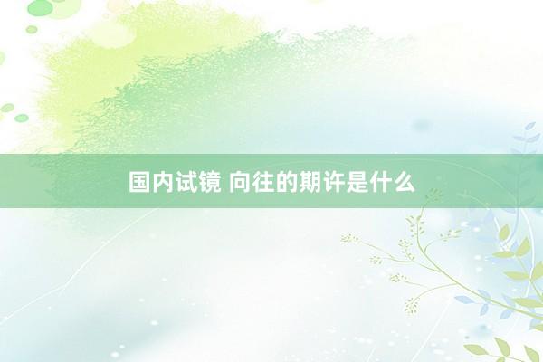 国内试镜 向往的期许是什么