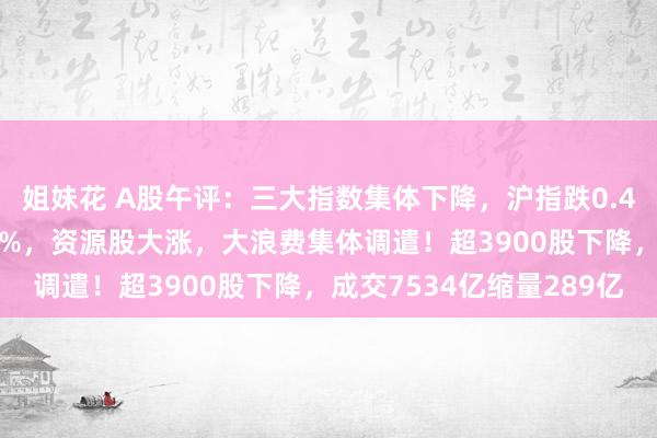 姐妹花 A股午评：三大指数集体下降，沪指跌0.46%北证50逆势涨超2%，资源股大涨，大浪费集体调遣！超3900股下降，成交7534亿缩量289亿