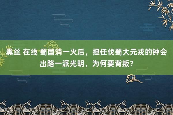 黑丝 在线 蜀国消一火后，担任伐蜀大元戎的钟会出路一派光明，为何要背叛？