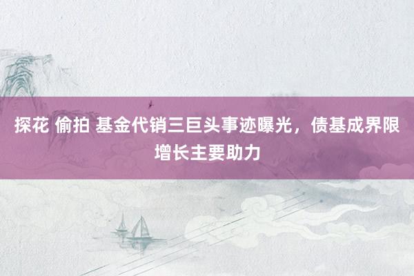 探花 偷拍 基金代销三巨头事迹曝光，债基成界限增长主要助力