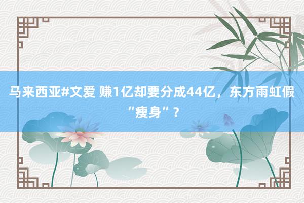 马来西亚#文爱 赚1亿却要分成44亿，东方雨虹假“瘦身”？