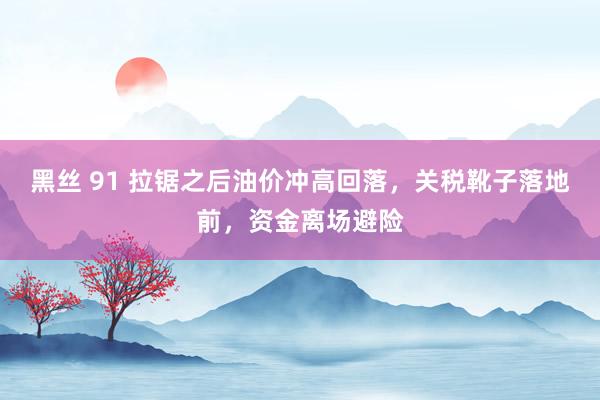 黑丝 91 拉锯之后油价冲高回落，关税靴子落地前，资金离场避险