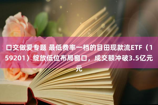 口交做爱专题 最低费率一档的目田现款流ETF（159201）绽放低位布局窗口，成交额冲破3.5亿元