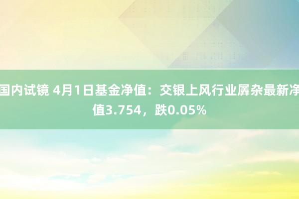 国内试镜 4月1日基金净值：交银上风行业羼杂最新净值3.754，跌0.05%