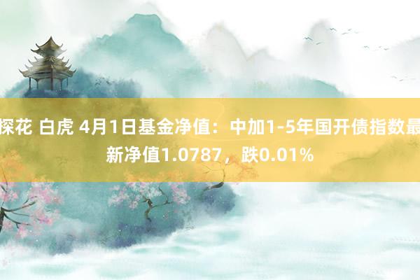探花 白虎 4月1日基金净值：中加1-5年国开债指数最新净值1.0787，跌0.01%