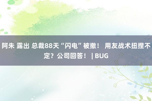 阿朱 露出 总裁88天“闪电”被撤！ 用友战术扭捏不定？公司回答！ | BUG