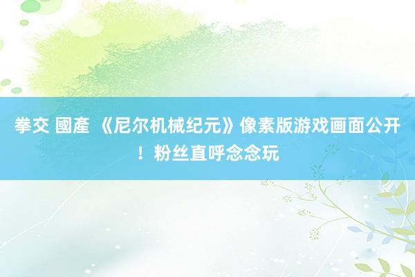 拳交 國產 《尼尔机械纪元》像素版游戏画面公开！粉丝直呼念念玩