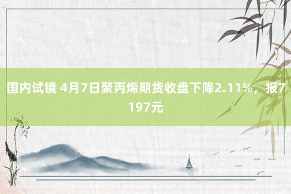 国内试镜 4月7日聚丙烯期货收盘下降2.11%，报7197元