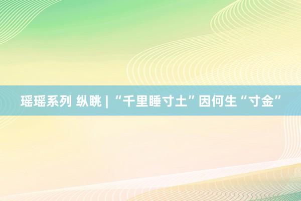 瑶瑶系列 纵眺 | “千里睡寸土”因何生“寸金”