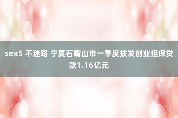 sex5 不迷路 宁夏石嘴山市一季度披发创业担保贷款1.16亿元