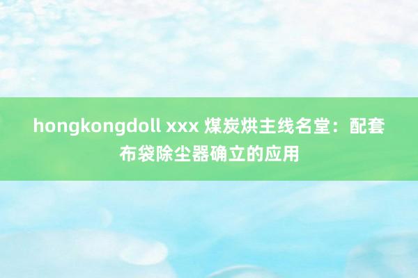 hongkongdoll xxx 煤炭烘主线名堂：配套布袋除尘器确立的应用