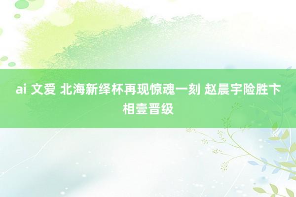 ai 文爱 北海新绎杯再现惊魂一刻 赵晨宇险胜卞相壹晋级