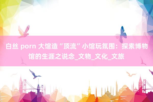 白丝 porn 大馆造“顶流”小馆玩氛围：探索博物馆的生涯之说念_文物_文化_文旅