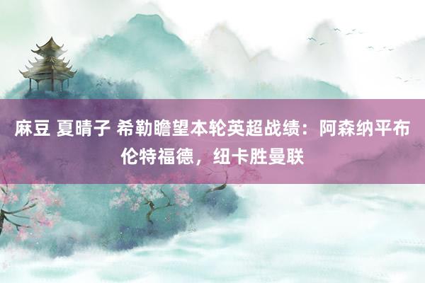麻豆 夏晴子 希勒瞻望本轮英超战绩：阿森纳平布伦特福德，纽卡胜曼联