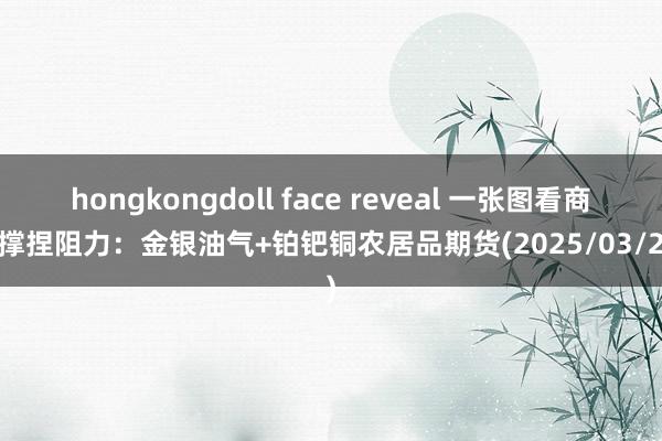 hongkongdoll face reveal 一张图看商品撑捏阻力：金银油气+铂钯铜农居品期货(2025/03/27)