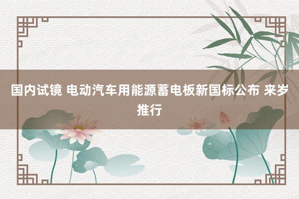 国内试镜 电动汽车用能源蓄电板新国标公布 来岁推行