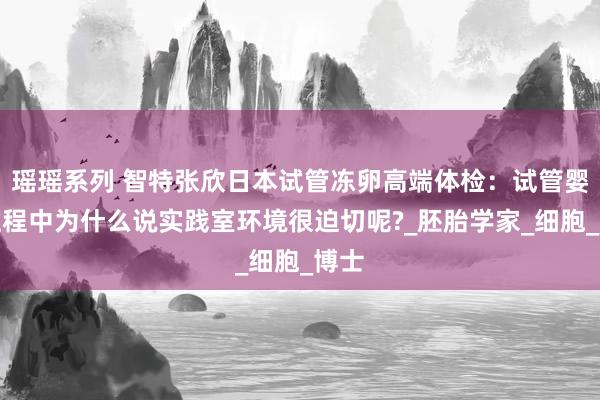 瑶瑶系列 智特张欣日本试管冻卵高端体检：试管婴儿过程中为什么说实践室环境很迫切呢?_胚胎学家_细胞_博士