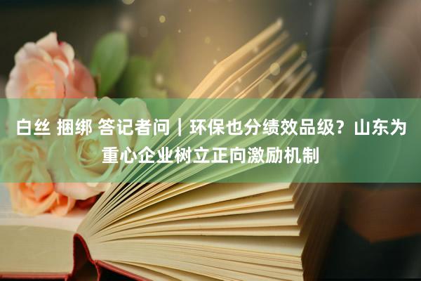 白丝 捆绑 答记者问｜环保也分绩效品级？山东为重心企业树立正向激励机制
