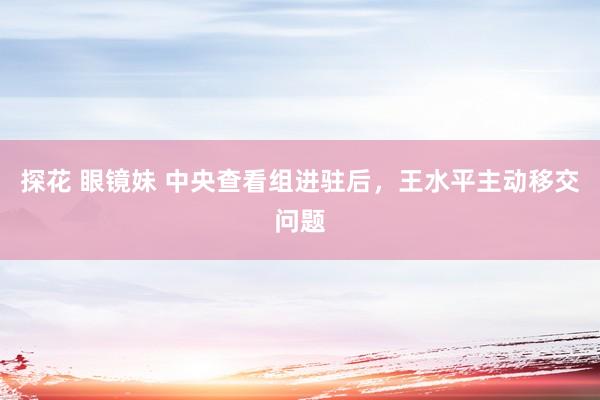 探花 眼镜妹 中央查看组进驻后，王水平主动移交问题