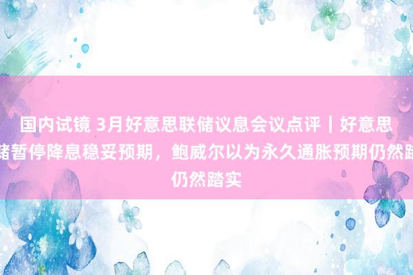 国内试镜 3月好意思联储议息会议点评｜好意思联储暂停降息稳妥预期，鲍威尔以为永久通胀预期仍然踏实