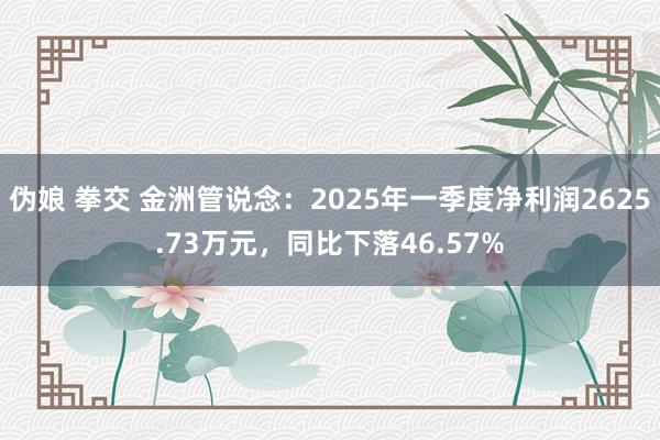 伪娘 拳交 金洲管说念：2025年一季度净利润2625.73万元，同比下落46.57%