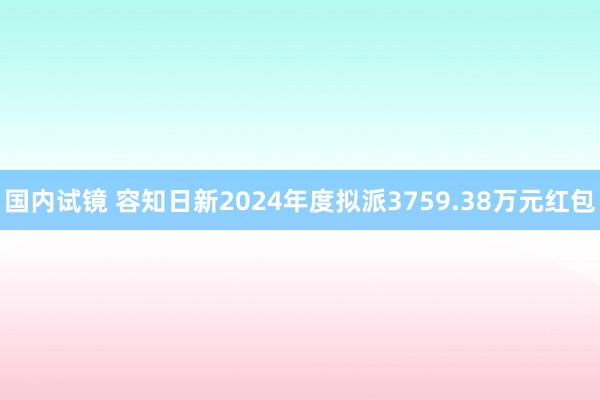 国内试镜 容知日新2024年度拟派3759.38万元红包