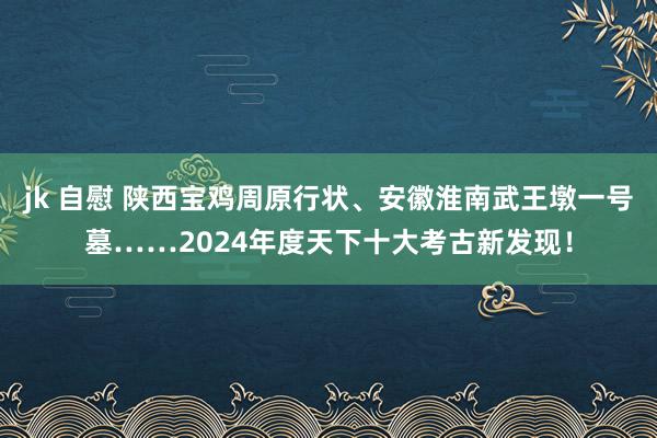 jk 自慰 陕西宝鸡周原行状、安徽淮南武王墩一号墓……2024年度天下十大考古新发现！