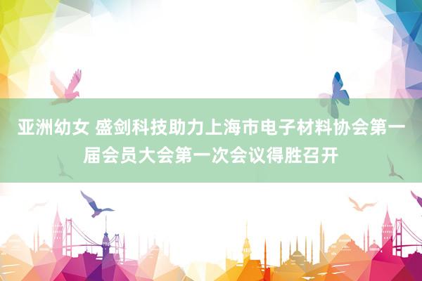 亚洲幼女 盛剑科技助力上海市电子材料协会第一届会员大会第一次会议得胜召开